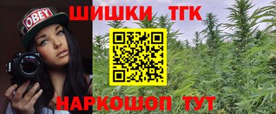 МДПВ Славгород